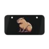 Mini License Plate