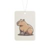 Car Air Freshener