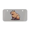 Mini License Plate